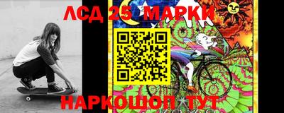 винт Кандалакша