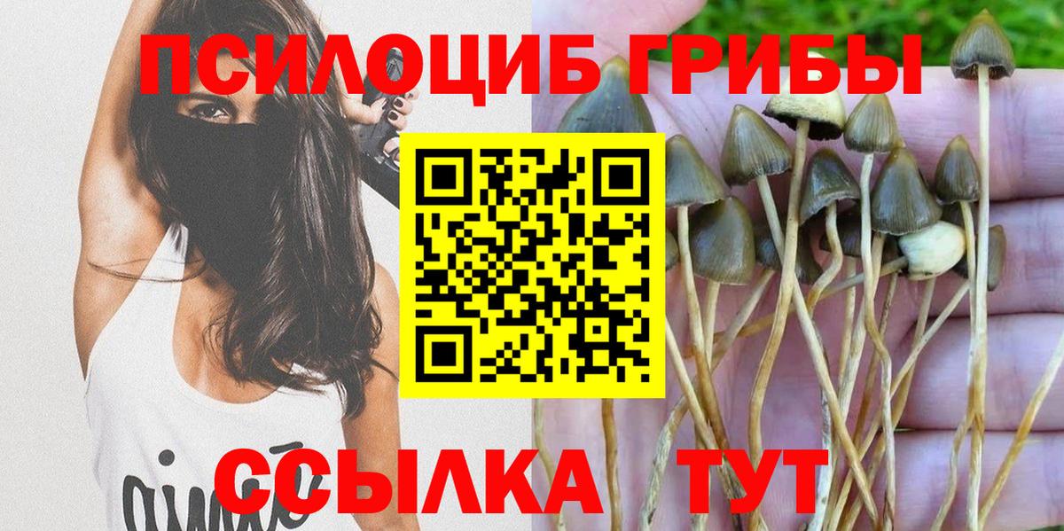 Галлюциногенные грибы GOLDEN TEACHER Бутурлиновка