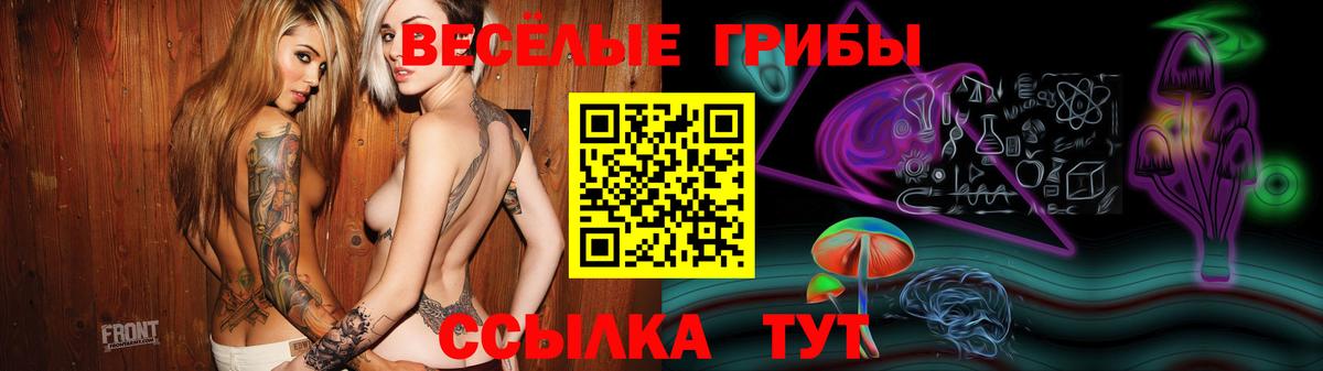Псилоцибиновые грибы MAGIC MUSHROOMS  Псилоцибиновые грибы ЛСД  Вход с VPN  Бутурлиновка 